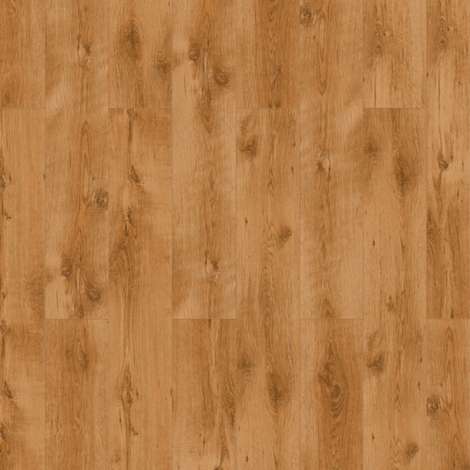 Фото - Classen Pool WR 52594