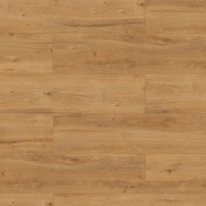 Картинка - 66707