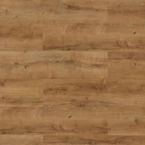 Картинка - 66710