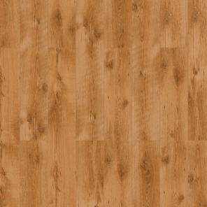 Картинка - Classen Pool WR 52594