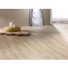 Фото - Ламинат Beauty floor RUBY, Дуб Шотландский 407bfr -  №4