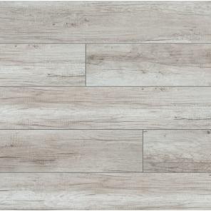 Картинка - Trend 4V WR 52601