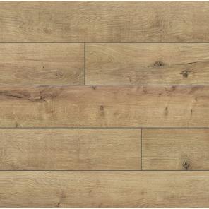 Картинка - Trend 4V WR 52606