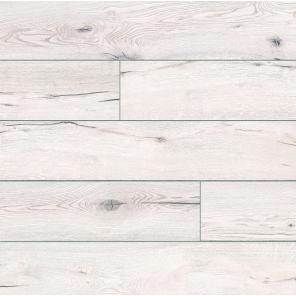 Картинка - Expedition 4V WR 52785