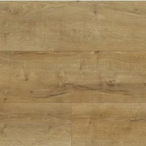 Картинка - Grandeco  591