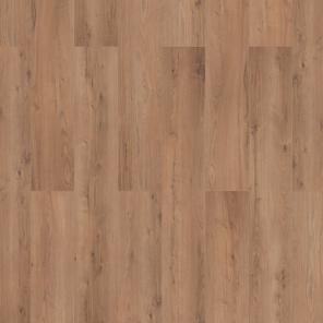 Картинка - Classen Pool WR 52568