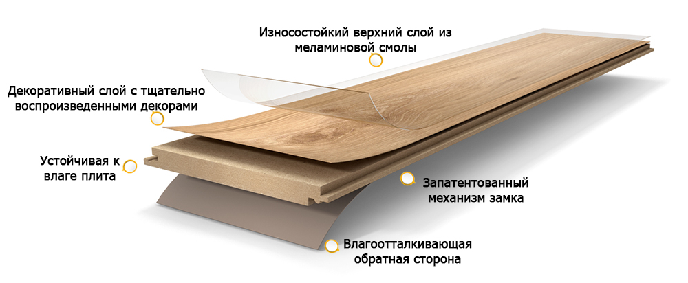 Структура ламели